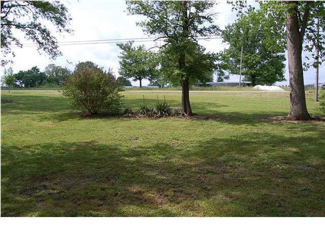 1170 Bellview Road Pikeville, TN 37367 - Photo 16 of 36 Additional Photo