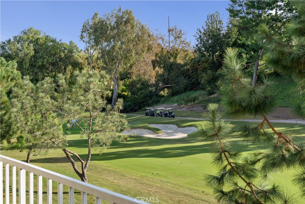 1 Rue Du Parc Newport Beach, CA 92660 - Photo 46 of 49 a view of a garden