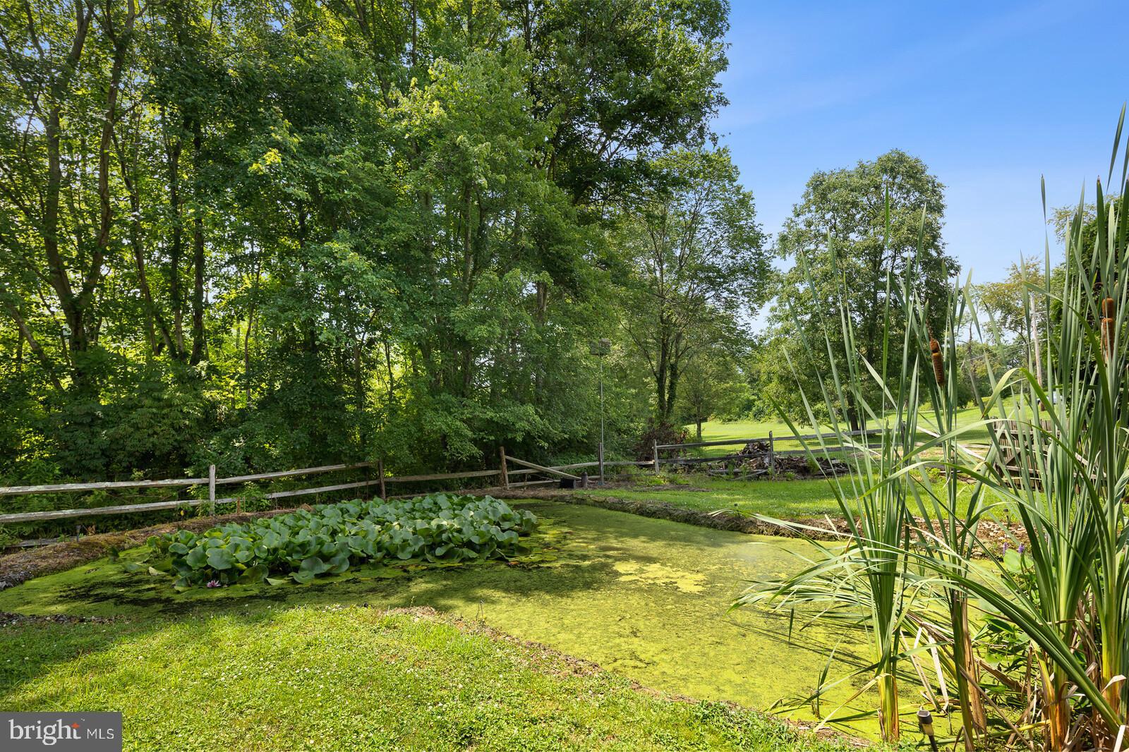 45 Oliphant's Mill Road Swedesboro, NJ 08085 - Photo 7 of 44 Koi pond in the backyard