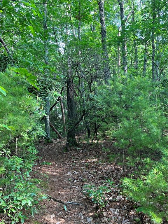 7 Mt Paron Road Deep Gap, NC 28618 - Photo 5 of 17