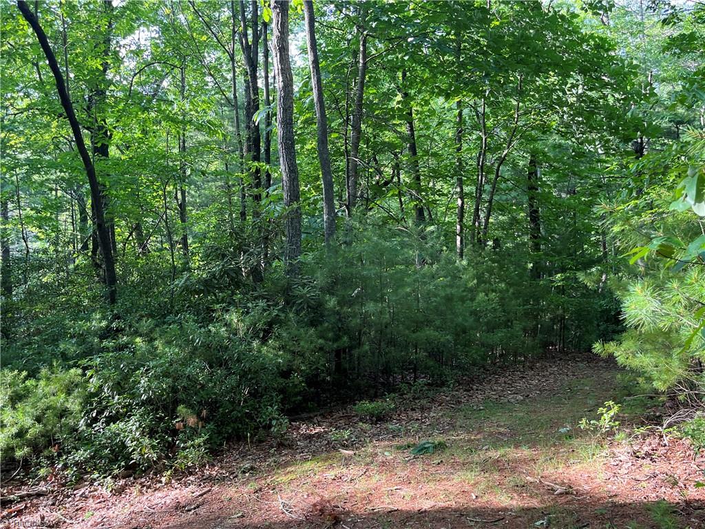 7 Mt Paron Road Deep Gap, NC 28618 - Photo 7 of 17
