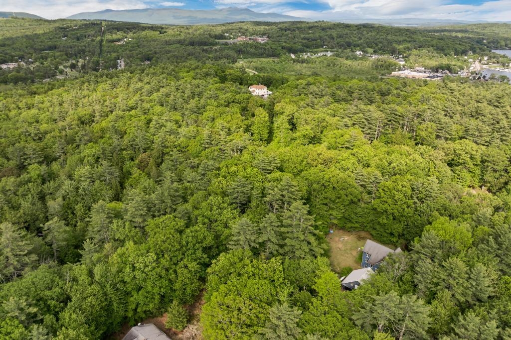 11 Bonney Shores Road Meredith, NH 03253 - Photo 6 of 59
