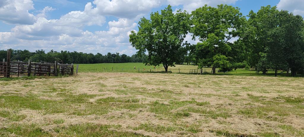 4 East & Beefmaster Road Slocomb, AL 36375 - Photo 1 of 1