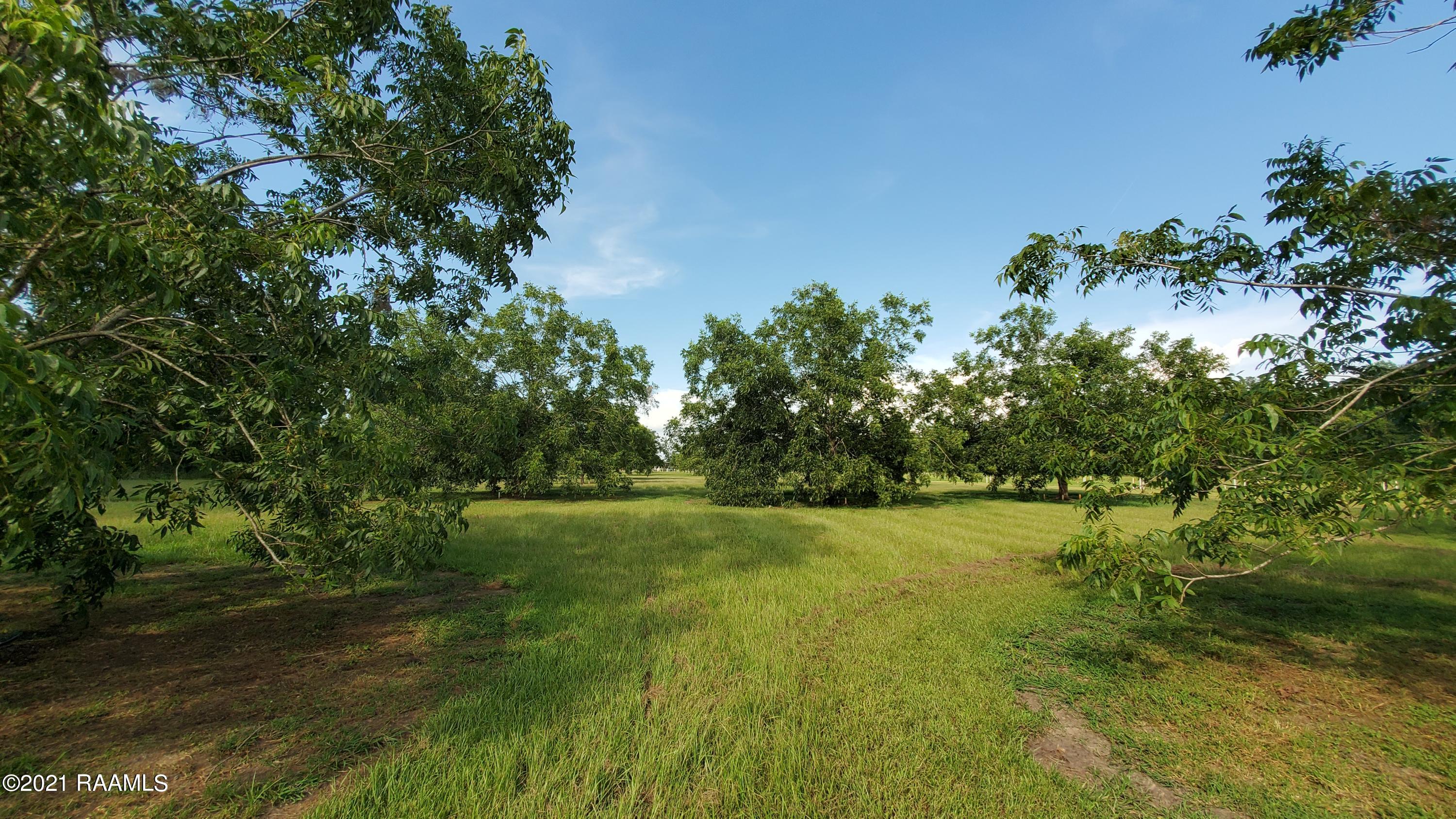 0 Gloria Kern Road Breaux Bridge, LA 70517 - Photo 23 of 25