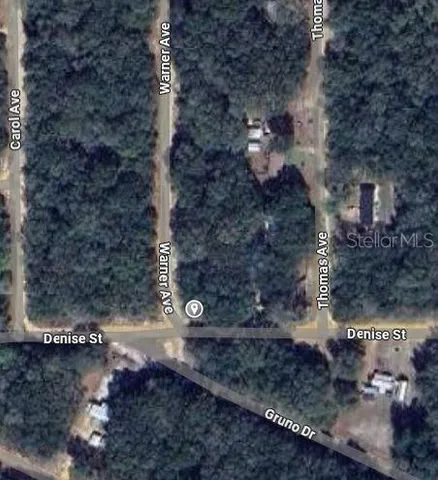 a view of a yard along with trees