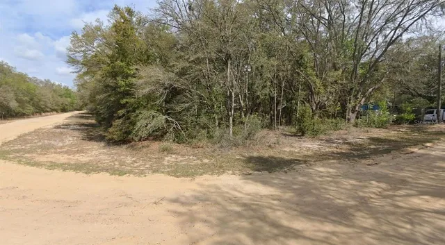 a view of a yard with trees