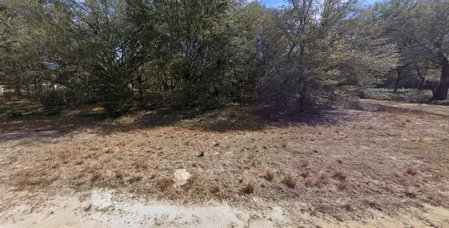 a view of a yard with trees