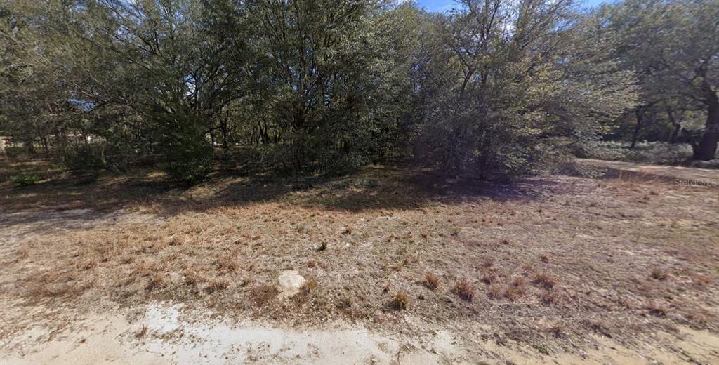 0 Denise Street Interlachen, FL 32148 - Photo 5 of 5 a view of a yard with trees