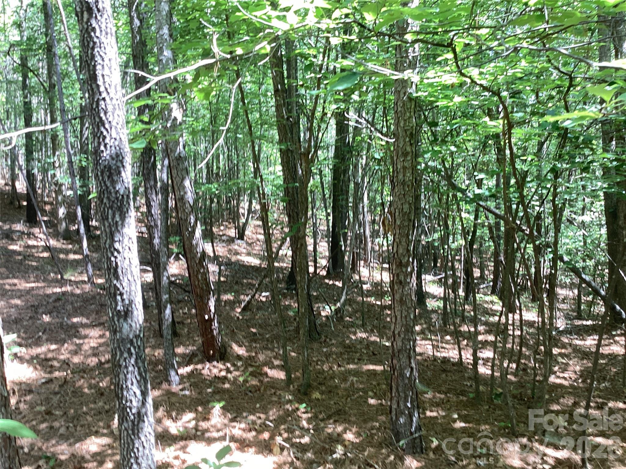 0 Powell Road Mill Spring, NC 28756 - Photo 14 of 22