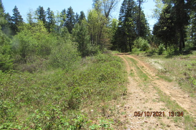 Flat Creek Rd Trail Trail, OR 97541 - Photo 9 of 16 IMG_0008