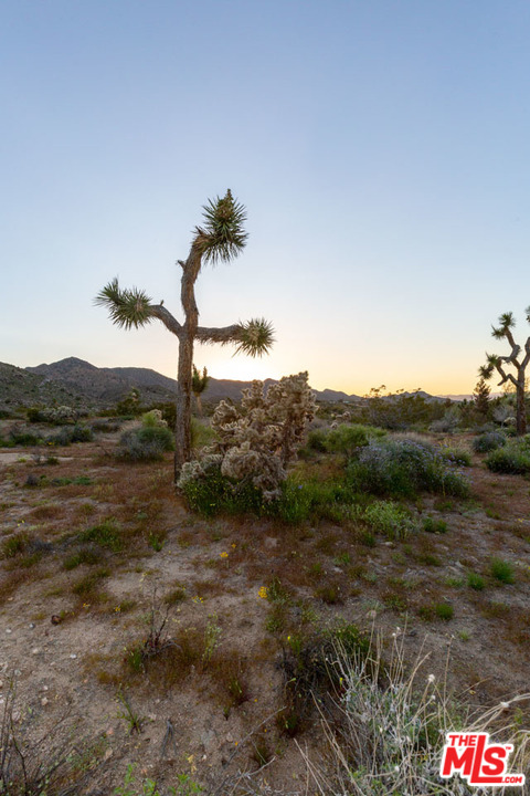 8909 Sunny Road Joshua Tree, CA 92252 - Photo 32 of 37 Gallery Image 32