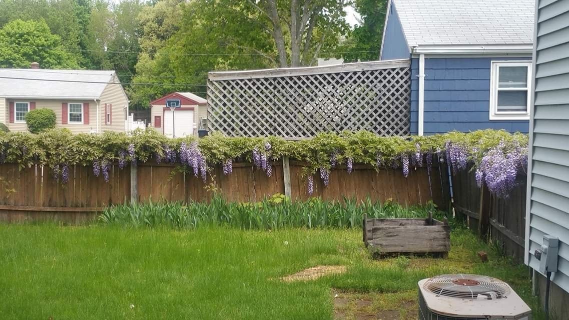 33 Ralston Street Warwick, RI 02888 - Photo 9 of 15