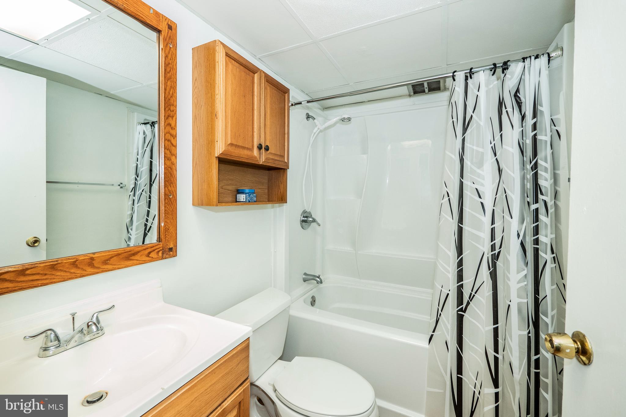 10930 Riverview Road Fort Washington, MD 20744 - Photo 37 of 64 Lower Level - Full Bathroom