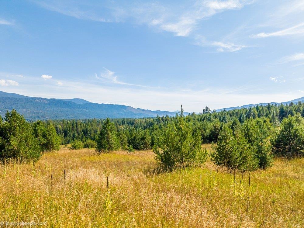 247 Schlegel Ranch Road Ione, WA 99139 - Photo 8 of 27 Gallery Image 8