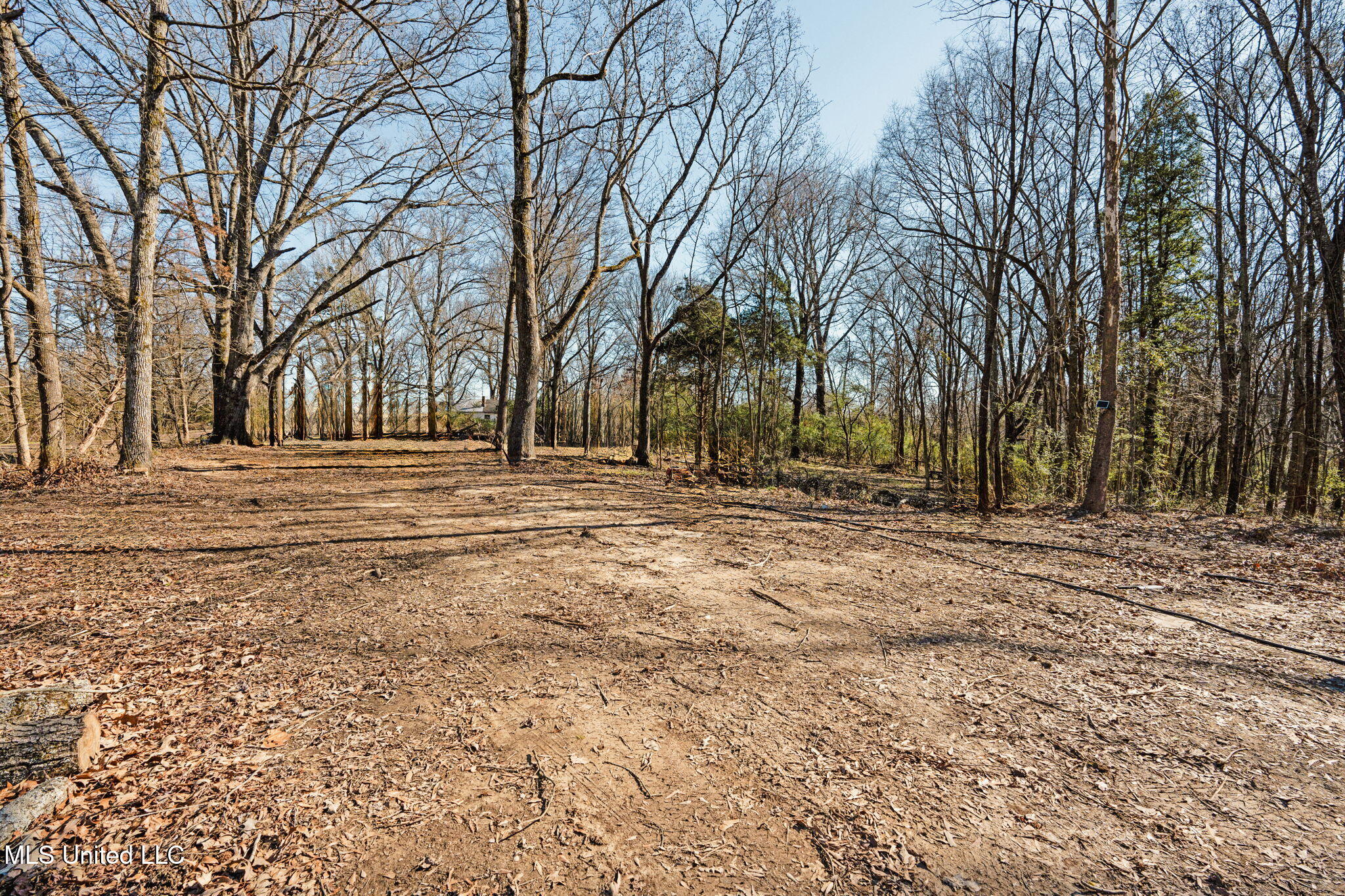 0 Box Corner Road Byhalia, MS 38611 - Photo 15 of 22 15-web-or-mls-0 Box Corner Rd13