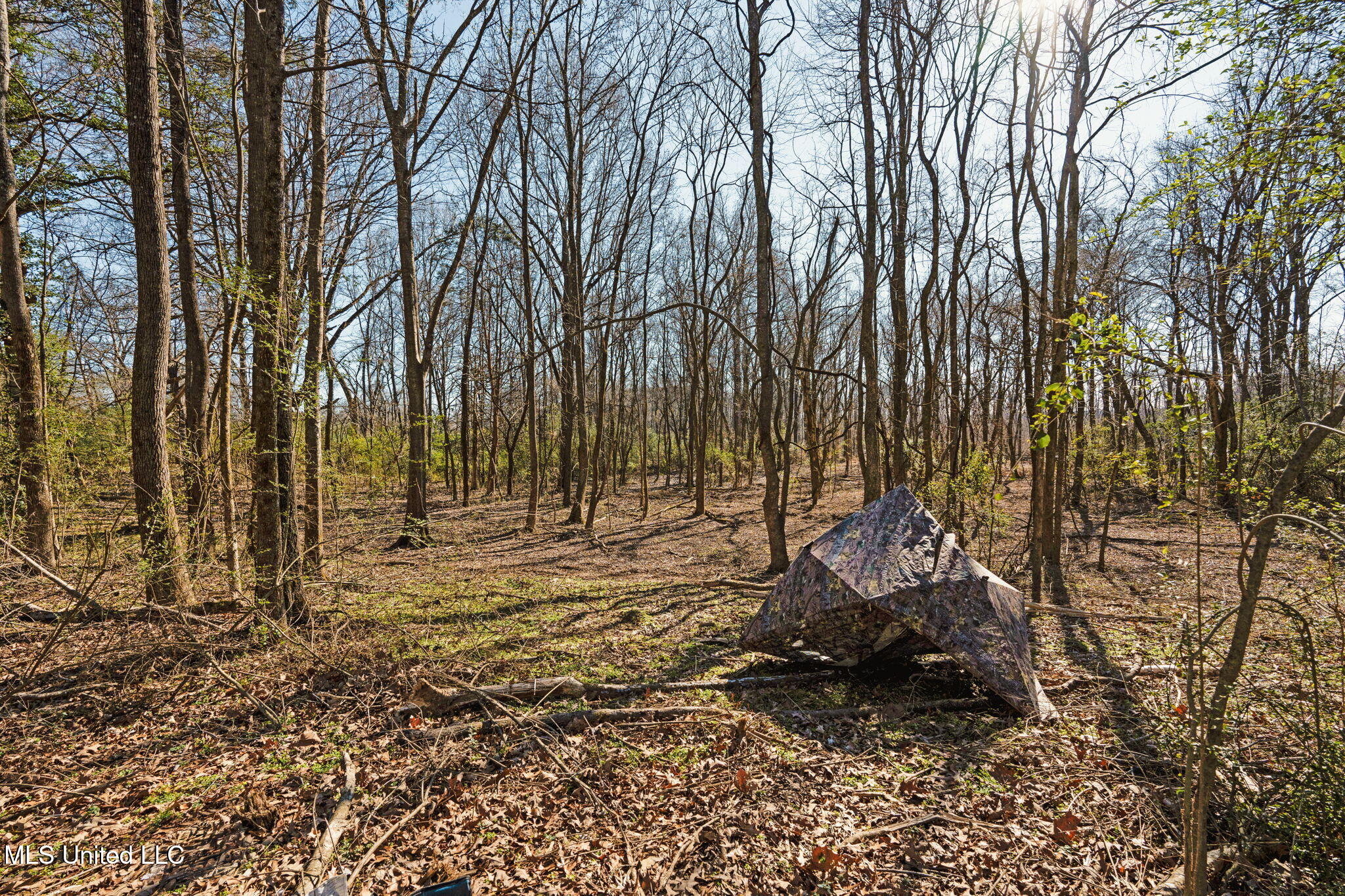 0 Box Corner Road Byhalia, MS 38611 - Photo 16 of 22 16-web-or-mls-0 Box Corner Rd14