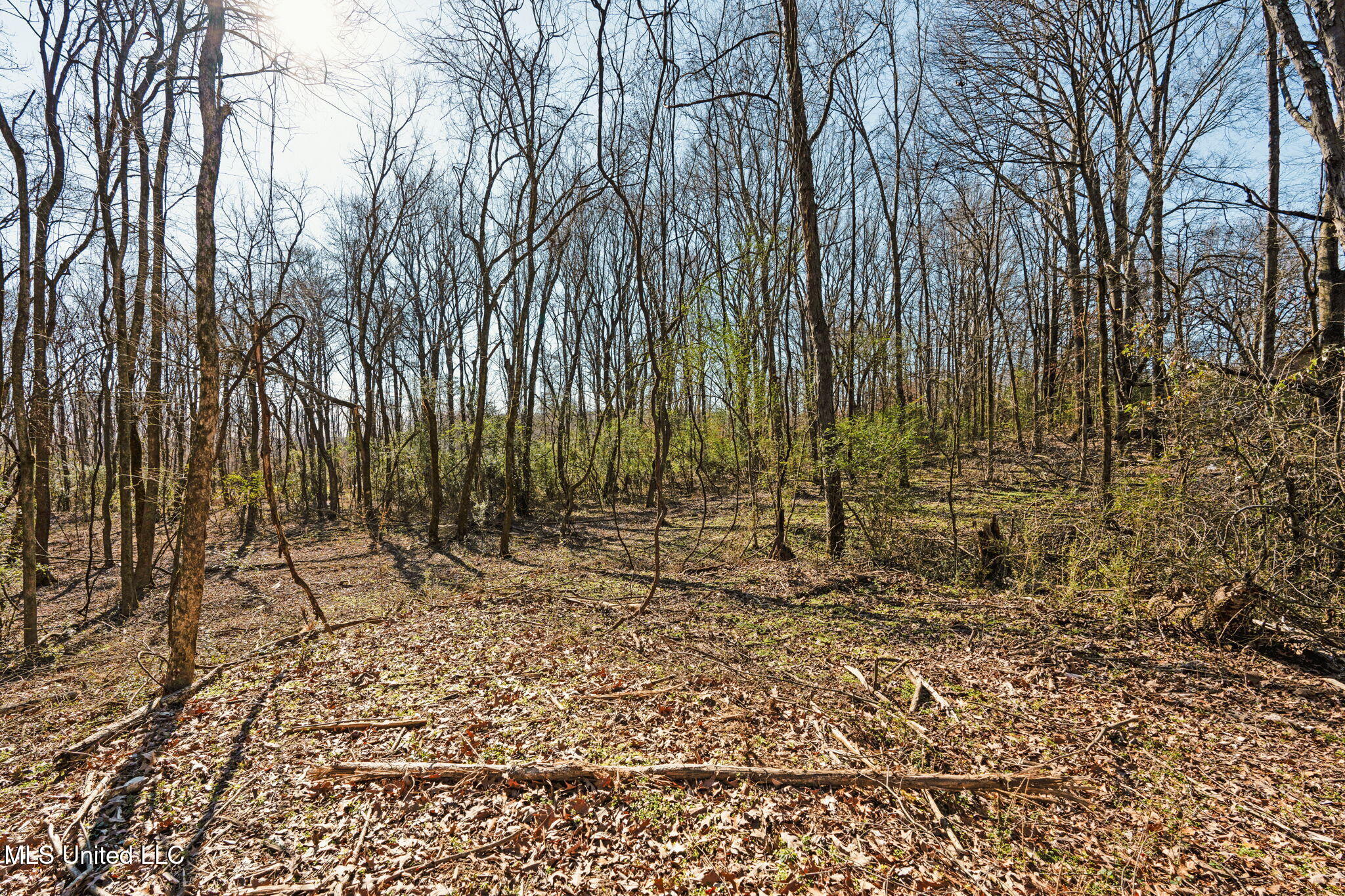 0 Box Corner Road Byhalia, MS 38611 - Photo 17 of 22 17-web-or-mls-0 Box Corner Rd15