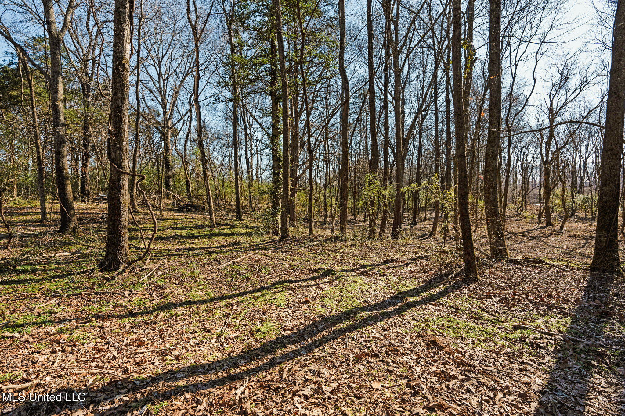0 Box Corner Road Byhalia, MS 38611 - Photo 19 of 22 19-web-or-mls-0 Box Corner Rd17
