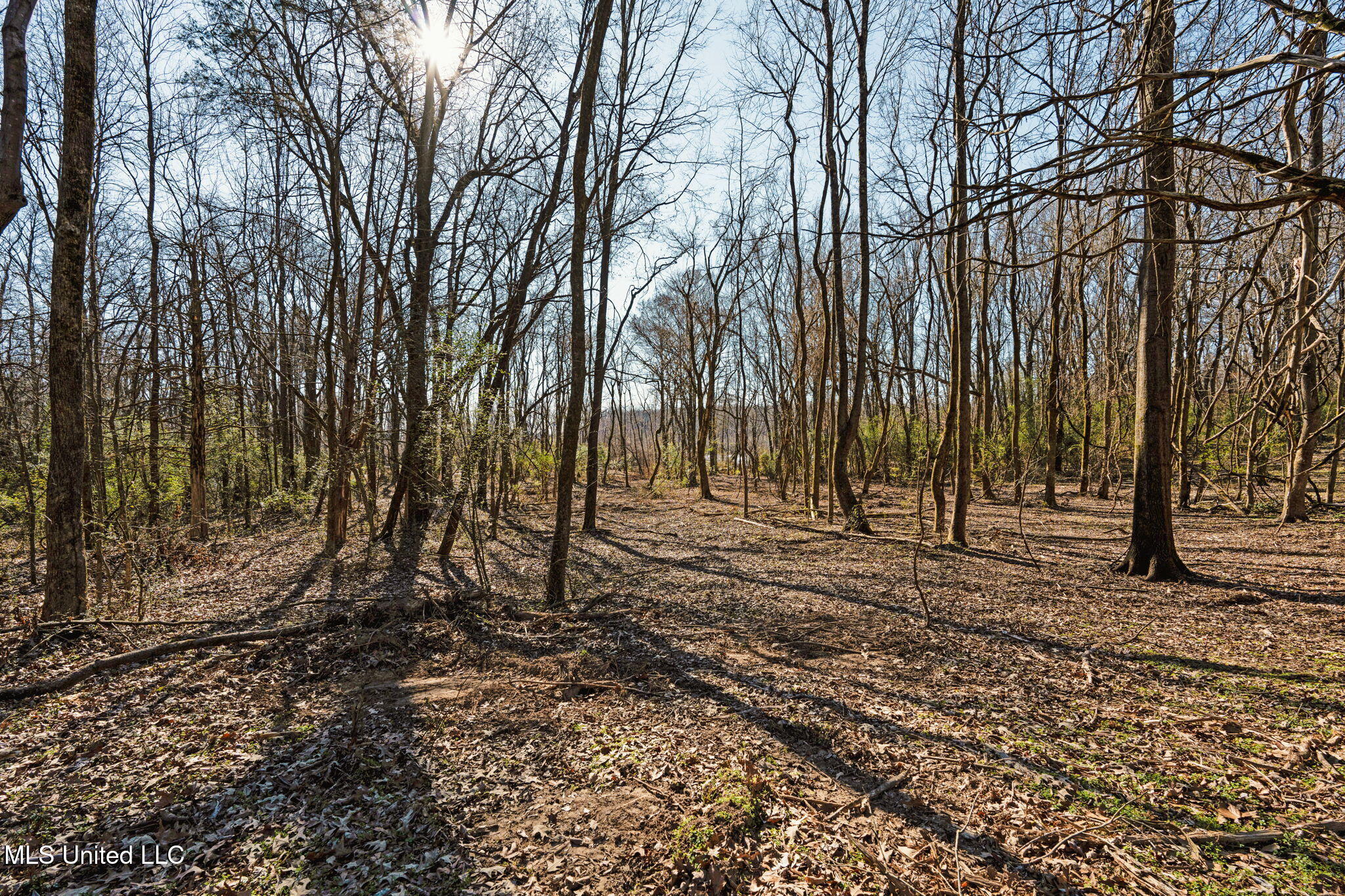 0 Box Corner Road Byhalia, MS 38611 - Photo 20 of 22 20-web-or-mls-0 Box Corner Rd18