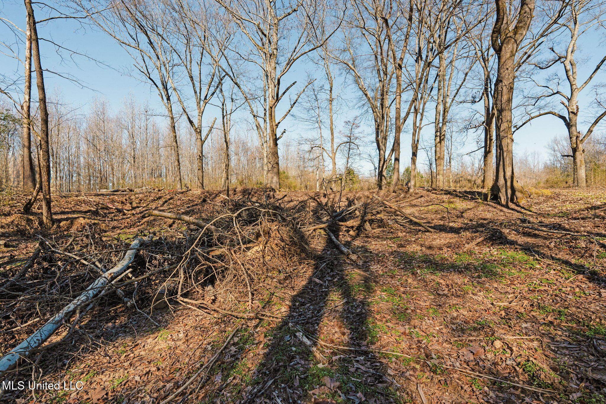 0 Box Corner Road Byhalia, MS 38611 - Photo 21 of 22 21-web-or-mls-0 Box Corner Rd19