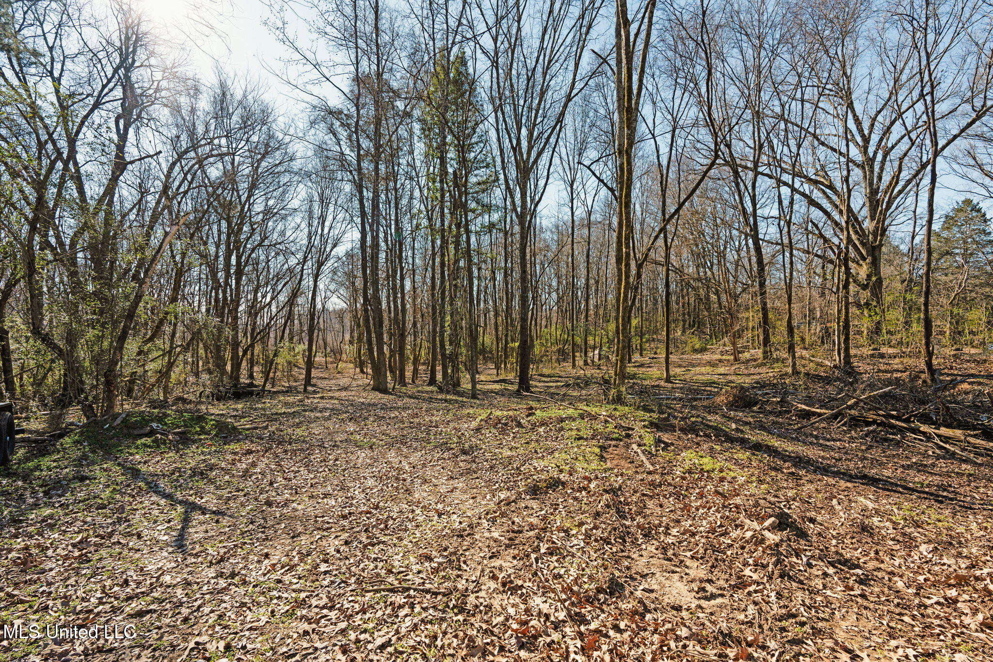 0 Box Corner Road Byhalia, MS 38611 - Photo 22 of 22 22-web-or-mls-0 Box Corner Rd20