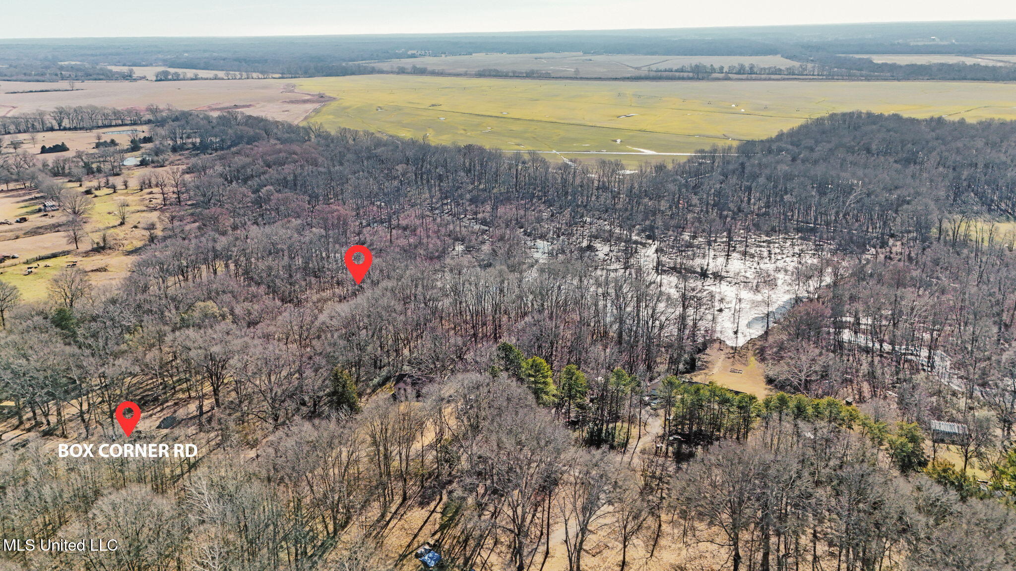 0 Box Corner Road Byhalia, MS 38611 - Photo 5 of 22 5-web-or-mls-0 Box Corner Rd3