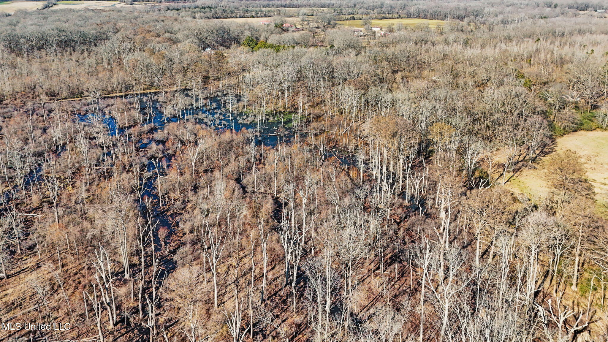 0 Box Corner Road Byhalia, MS 38611 - Photo 8 of 22 8-web-or-mls-0 Box Corner Rd6