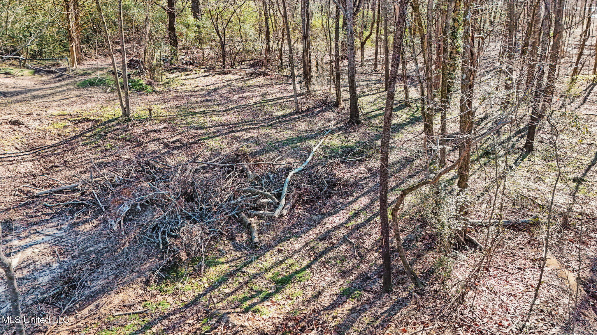 0 Box Corner Road Byhalia, MS 38611 - Photo 10 of 22 10-web-or-mls-0 Box Corner Rd8