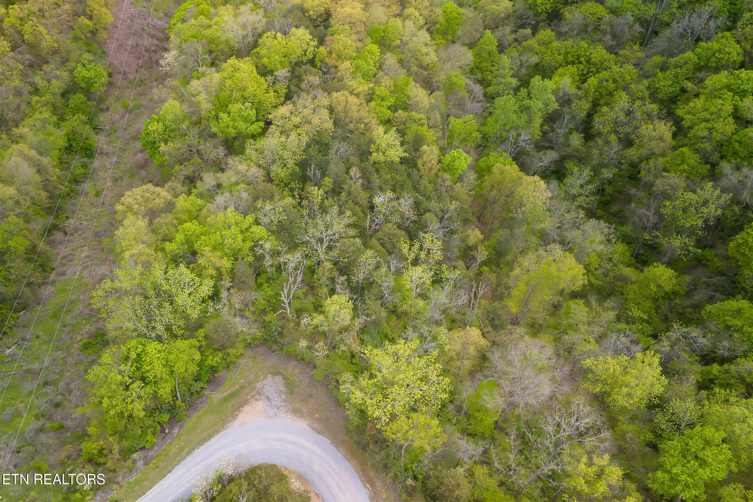 Cove Way Newport, TN 37821 - Photo 10 of 11 8_dro002