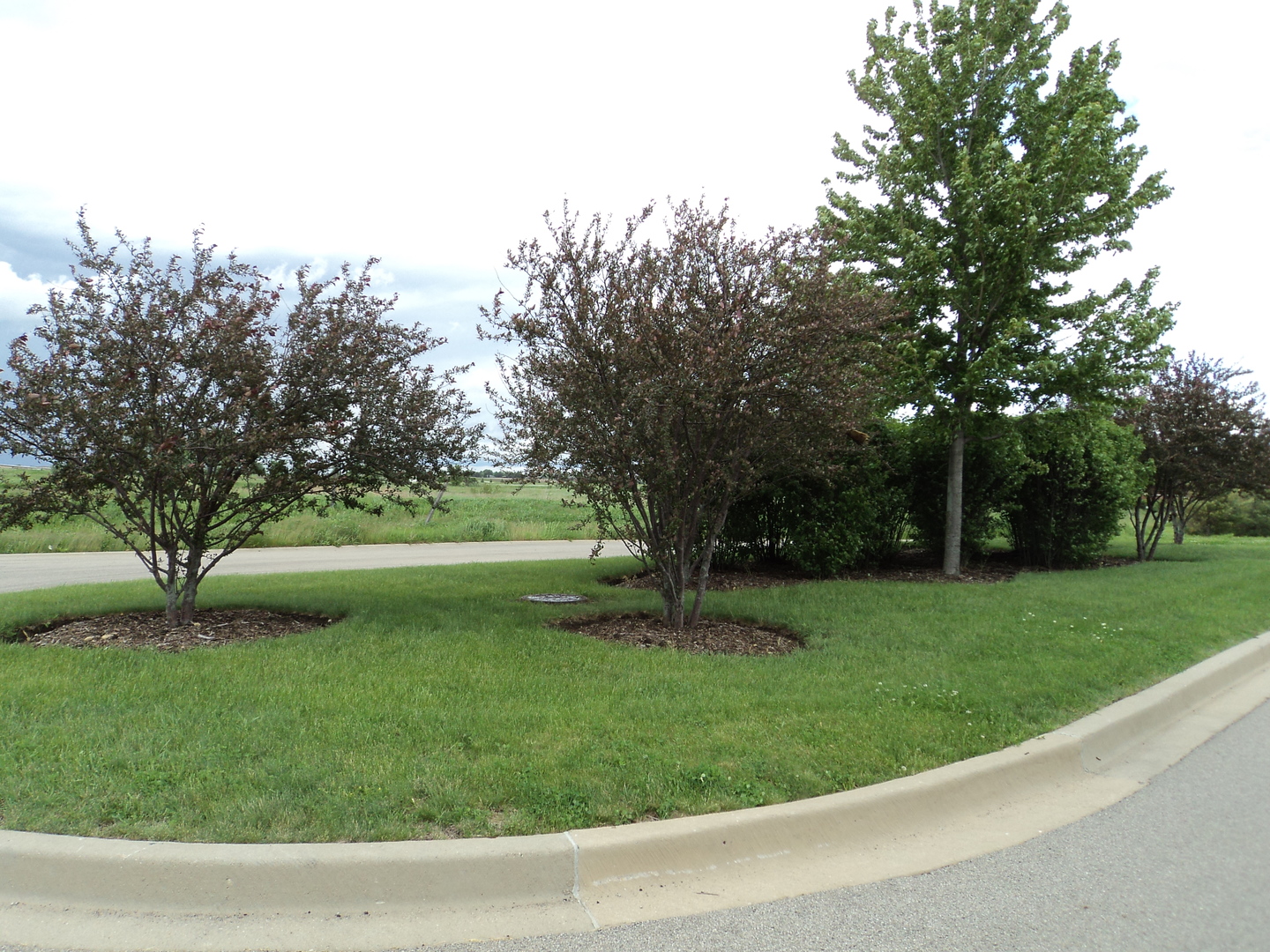 Lot 27 Ridgeview Lane Sugar Grove, IL 60554 - Photo 4 of 4