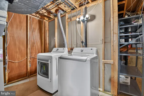 a view of a yard with plants and large trees