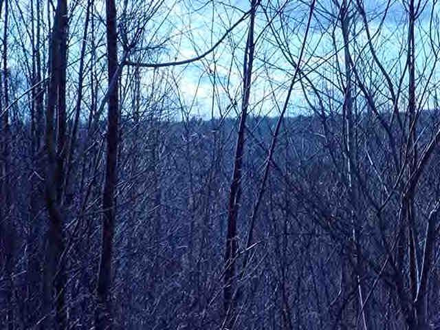 Lot 30 Stebbins Road Otis, MA 01253 - Photo 1 of 3