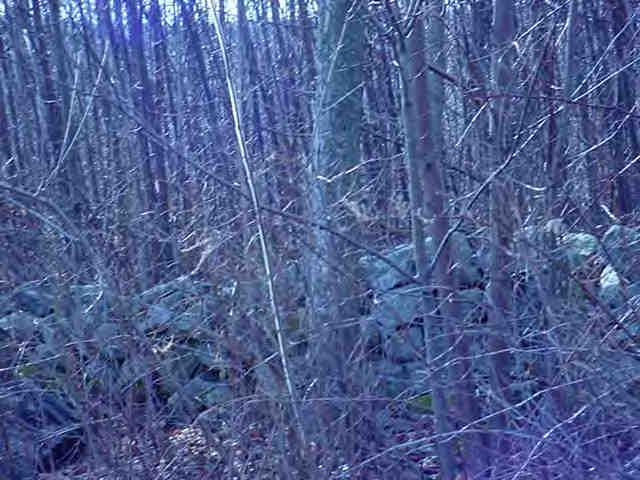 Lot 30 Stebbins Road Otis, MA 01253 - Photo 2 of 3 a close up of a wooden wall
