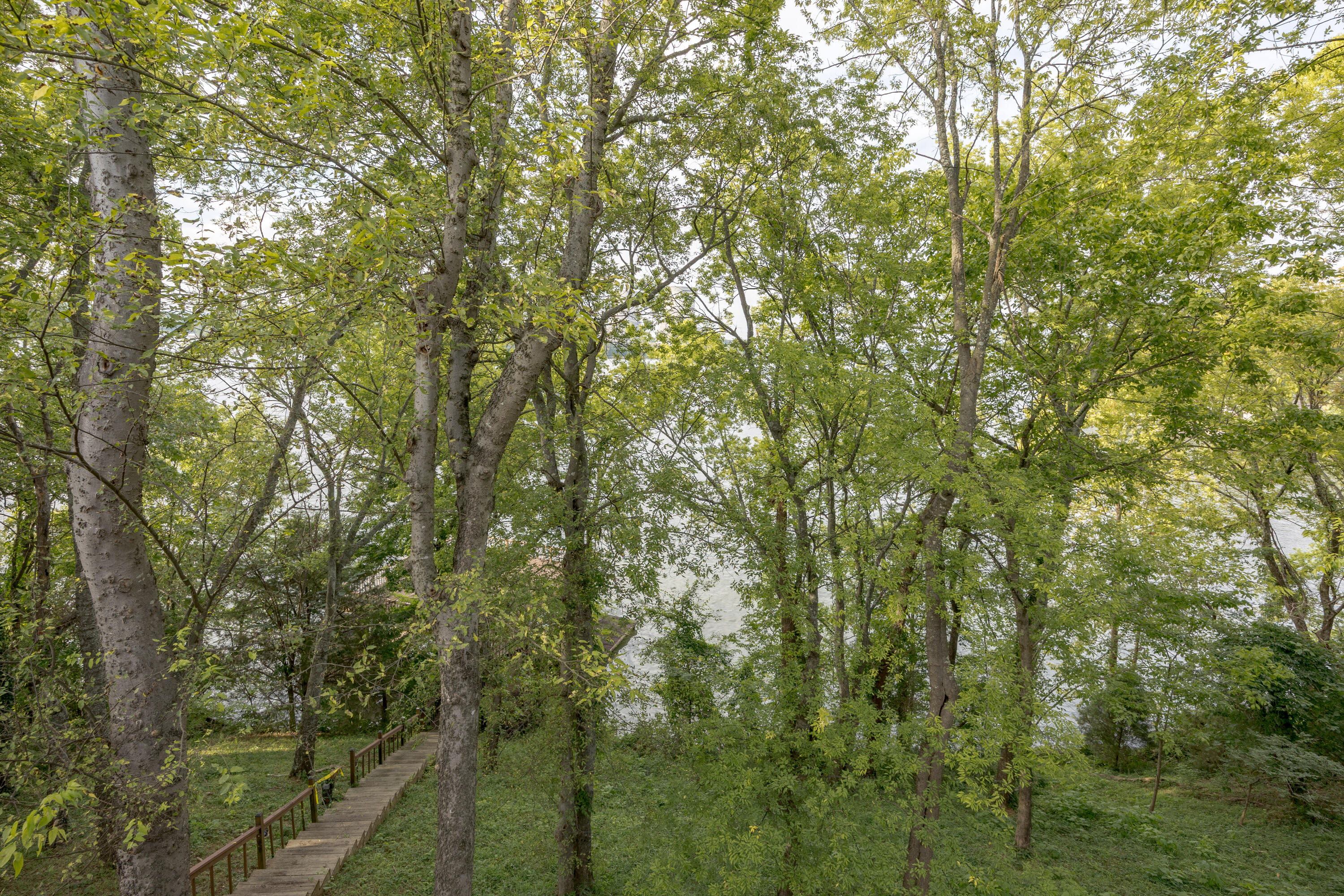 6322 Hamilton Island Road Harrison, TN 37341 - Photo 28 of 108 6322 Hamilton Island Rd-188