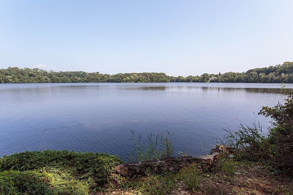 39 Beverly Road Arlington, MA 02474 - Photo 2 of 37 a view of a lake from a yard