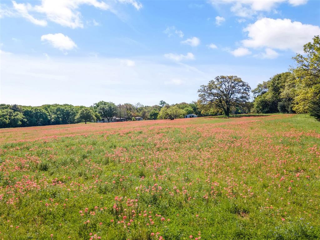 a view of yard with swimming pool and green space