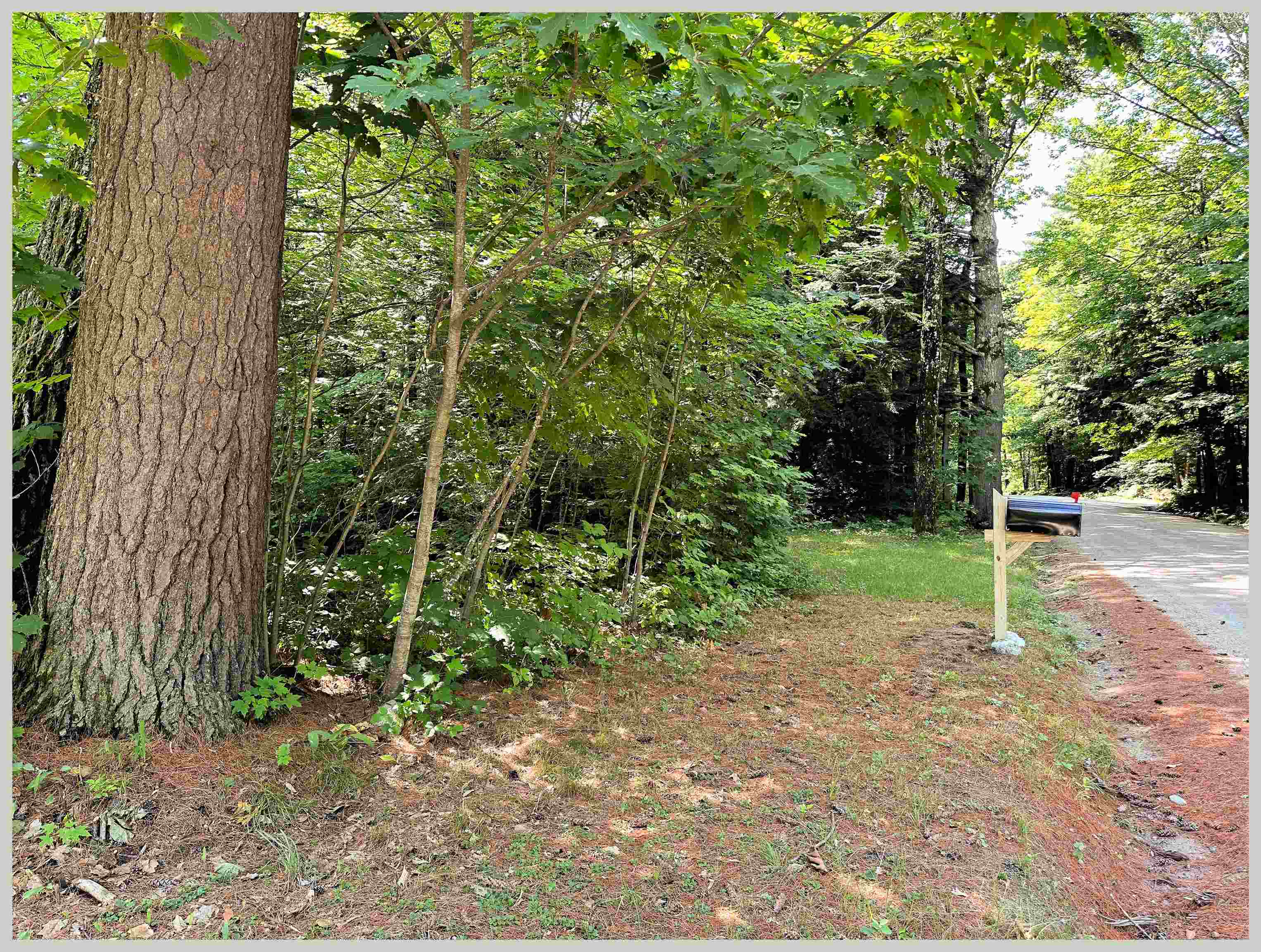 70 Howe Road Holderness, NH 03245 - Photo 24 of 25 Gallery Image 24