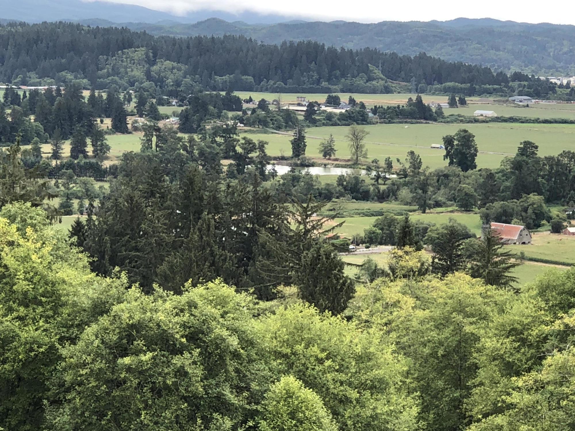 Lot 30 Skyview Road Tillamook, OR 97141 - Photo 7 of 15 IMG_9046
