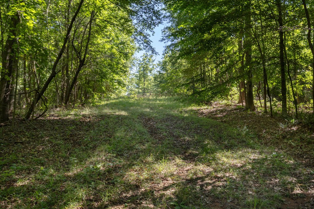 231 Lower Lovelace Road West Point, GA 31833 - Photo 37 of 49