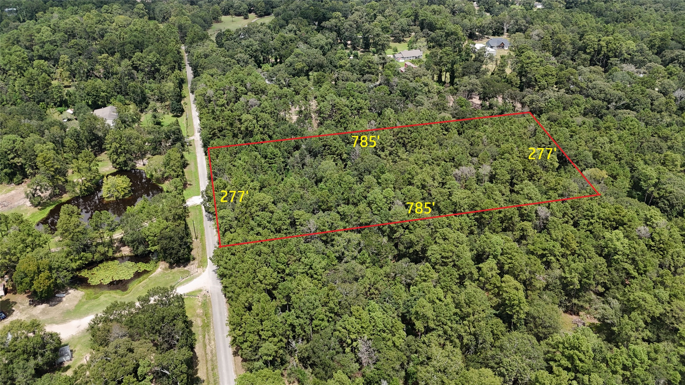 15455 Sharon Lane Conroe, TX 77302 - Photo 1 of 9 a view of a forest with a tree