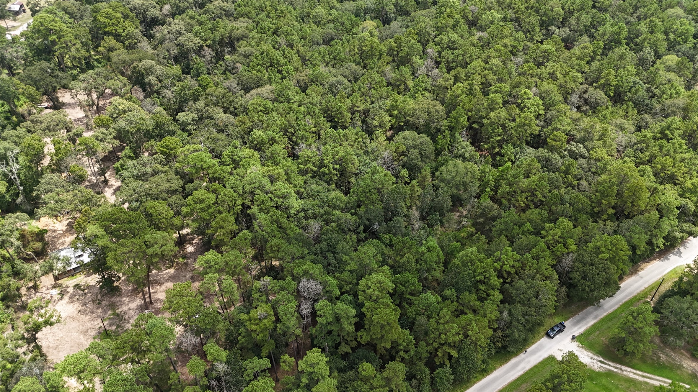 15455 Sharon Lane Conroe, TX 77302 - Photo 7 of 9 a view of a forest that has a tree