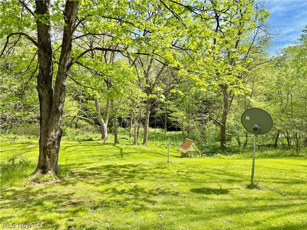 11811 Gaston Road Rogers, OH 44455 - Photo 6 of 38 You've got several acres of usable space, pole barns, and a Quonset Hut (currently used for recreation). Take advantage of the room to play, and play!!