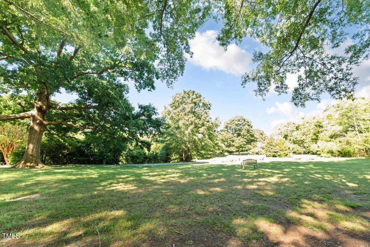 411 Brampton Close Pittsboro, NC 27312 - Photo 49 of 71 a view of a trees with a yard