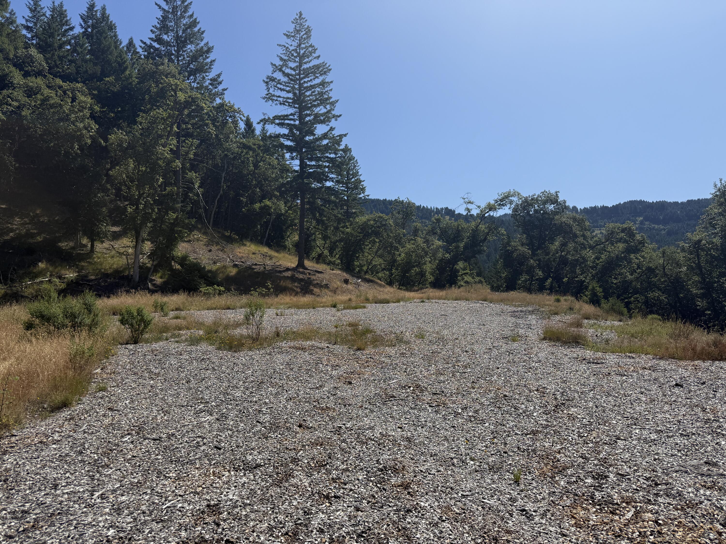 164-acres Saber Tooth Road Blue Lake, CA 95525 - Photo 3 of 11