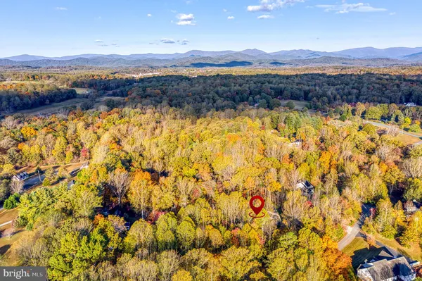 a view of a garden with an outdoor space