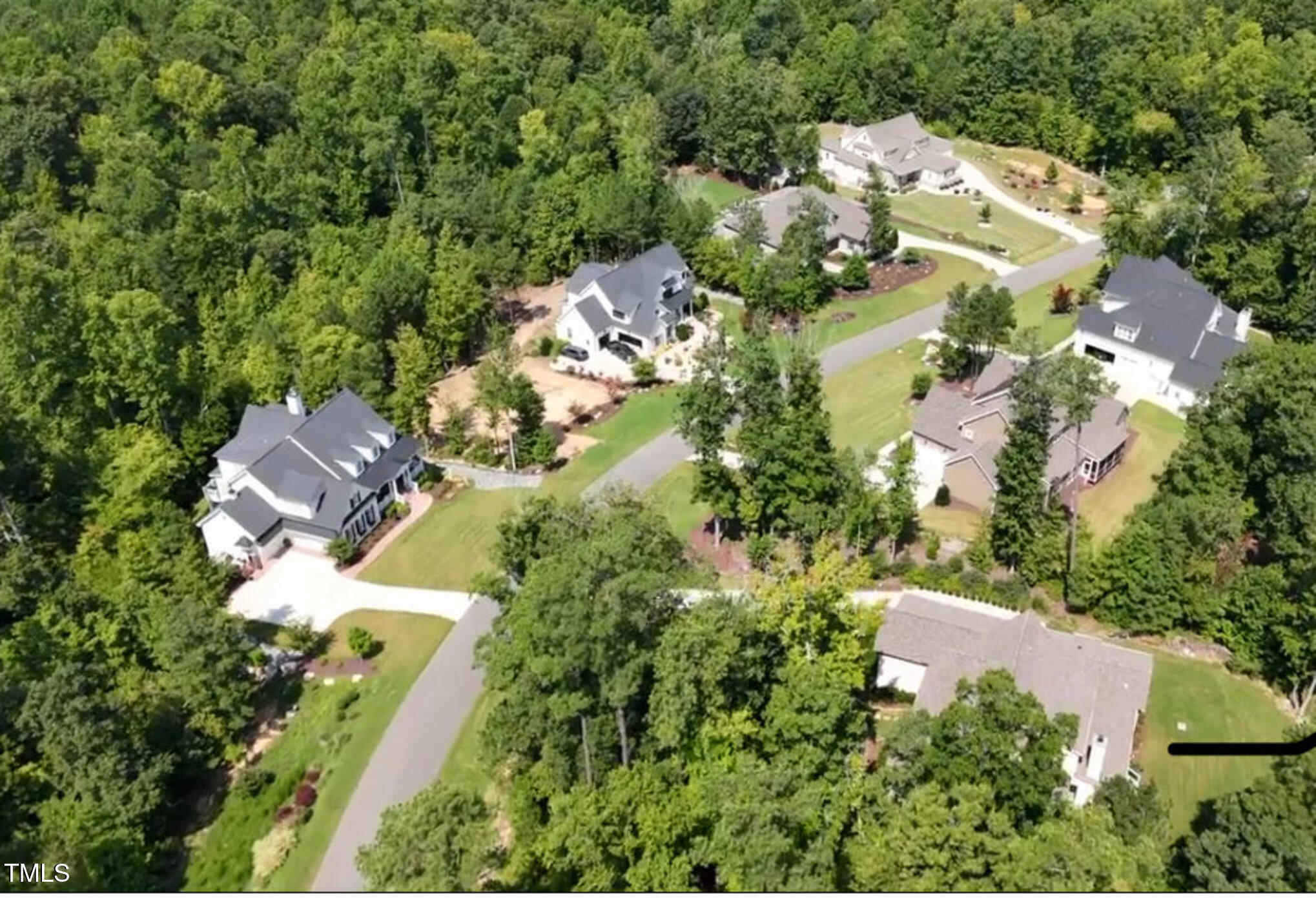 403 Stonecrest Way Pittsboro, NC 27312 - Photo 64 of 65 an aerial view of residential house with outdoor space and trees all around