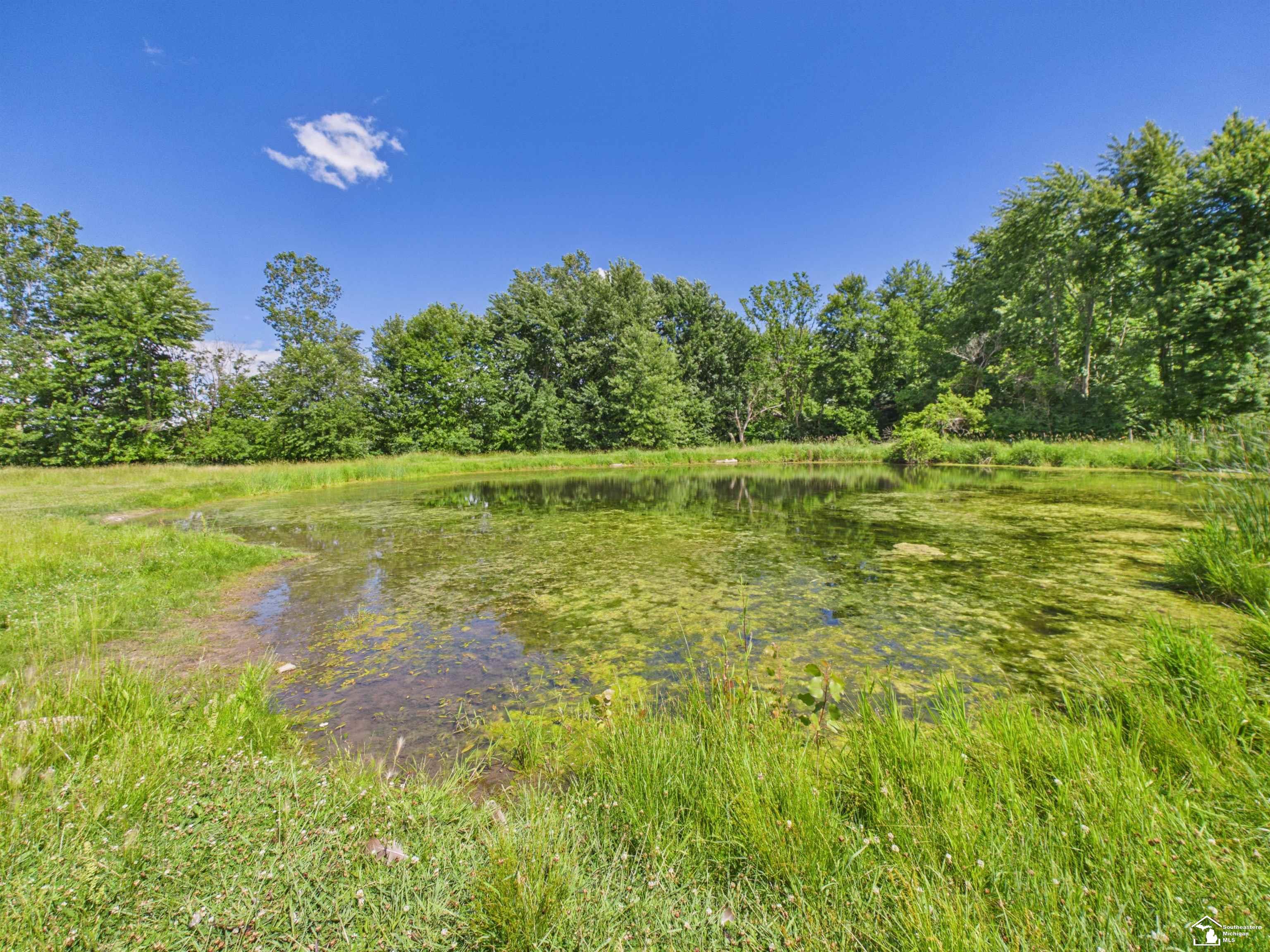6068 Talladay Road Milan, MI 48160 - Photo 61 of 61