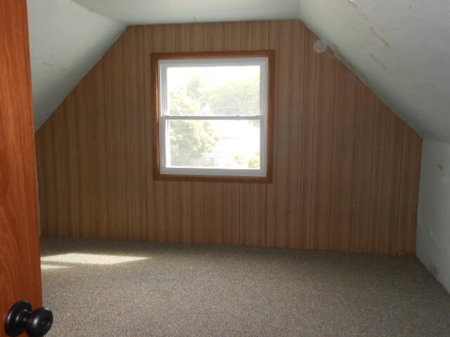 113 North Bird Street La Farge, WI 54639 - Photo 17 of 18 DSCN4548