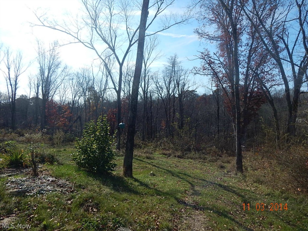 55377 Iowa Road Cumberland, OH 43732 - Photo 12 of 13 Gallery Image 12