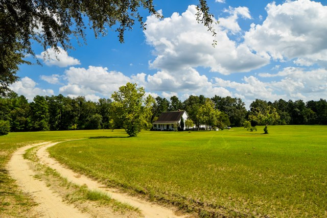 113 McVey Road Aiken, SC 29803 - Photo 5 of 39